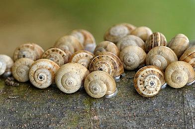 Steam官推暗示《CoD19：现代战争2》将登Steam