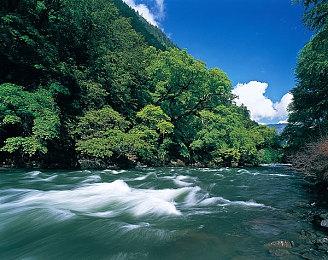 科乐美：更多的《寂静岭》重制版正在开发中